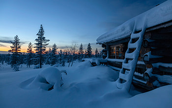 Winter Cabin, trees, winter, snow, cabin HD wallpaper