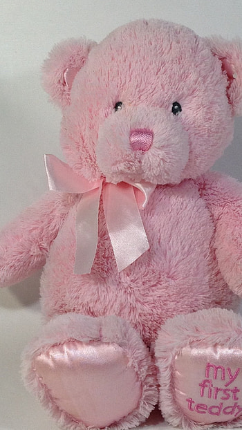 Pink Teddy, Cute Bear, pink teddy bear HD phone wallpaper