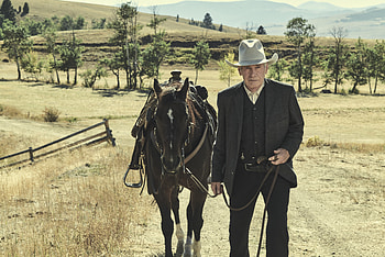 1923 TV Show: Harrison Ford’s Cowboy in Stunning, 1923 (TV Show) HD wallpaper