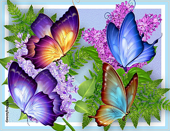 BUTTERFLY COLLAGE, ART, COLLAGE, BUTTERFLY, ABSTRACT HD wallpaper
