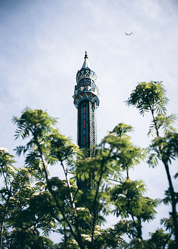 Cities, Architecture, Bush, Building, Branches, Tower HD phone wallpaper