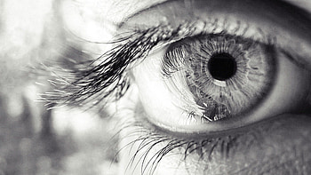 Macro, Bw, Chb, Eye, Pupil, Eyelash, Eyelashes HD wallpaper