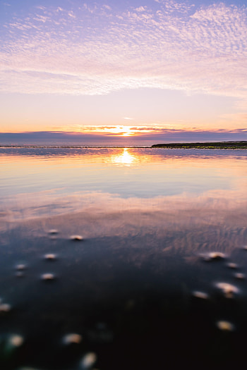 Nature, Sunset, Sea, Horizon, Glare HD phone wallpaper