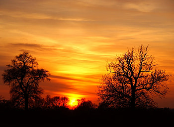 Almost night, black, colors, beauty, yellow, clouds, trees, nature, sky, sun, sunset, places HD wallpaper