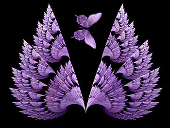 Matching Wings, wings, digital, butterfly, fantasy, art, lavender, beautiful, fractal HD wallpaper