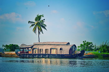 Scenic view of a traditional houseboat on Kerala's backwaters with lush palm trees. HD wallpaper