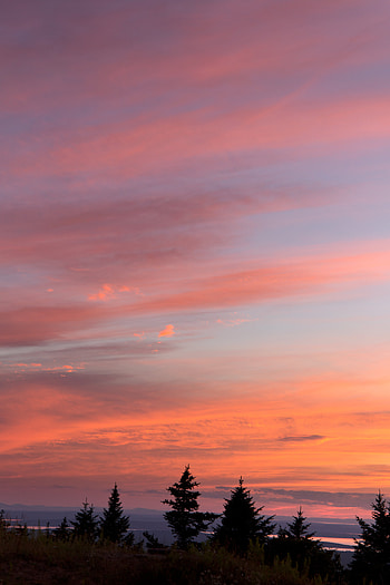 Nature, Trees, Sunset, Sky, Clouds, Outlines HD phone wallpaper