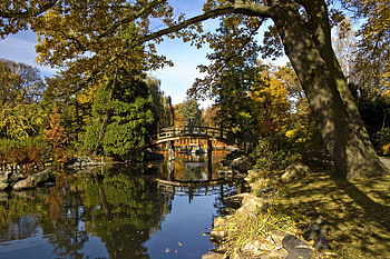 Nature, Trees, Stones, Shore, Bank, Bridge, Shadows, Pond, Arc HD wallpaper