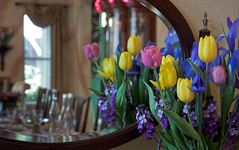 Flowers, Tulips, Reflection, Bouquet, Irises, Mirror, Mattoila HD wallpaper
