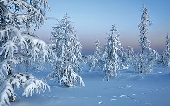 Landscape, Winter, Snow HD wallpaper