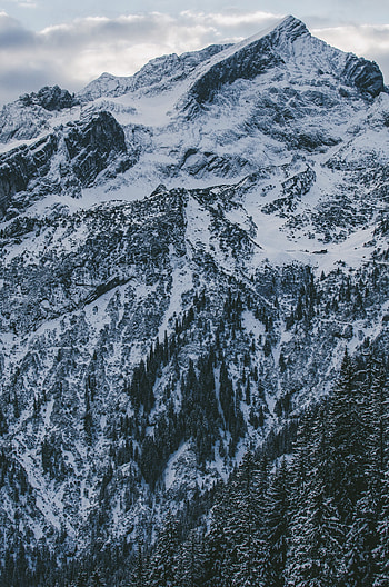 Nature, Trees, Sky, Mountains, Clouds, Snow, Vertex, Top, Snow Covered, Snowbound HD phone wallpaper