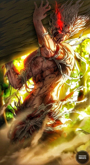 garou, animado, hombre HD phone wallpaper