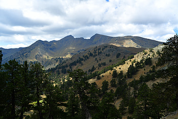 Nature, Trees, Mountains, Rocks, Fir, Spruce, Slope HD wallpaper
