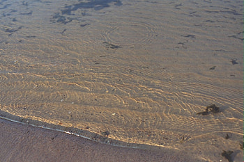 Beach Flow 2 WDS , sand, seas, graphy, ocean HD wallpaper