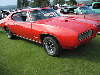 1964 Pontiac GTO, Pontiac, black, graphy, green, red, trees, grass, tires HD wallpaper
