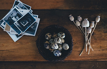 Miscellanea, Miscellaneous, Poppy, , graphs, Quail Eggs HD wallpaper