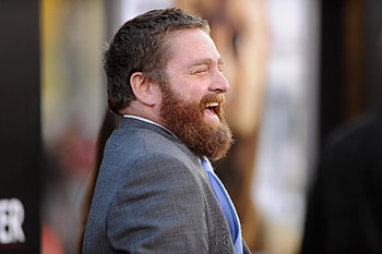 Zach Galifianakis, , Background , Celebrity HD wallpaper