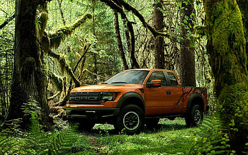 Ford Truck Raptor, ford, ford-raptor, cars, truck HD wallpaper