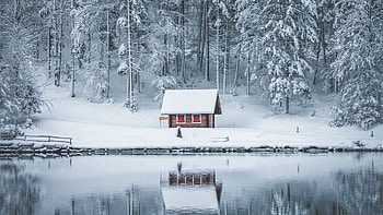 Frozen house, sea, Winter, Cold, Trees HD wallpaper