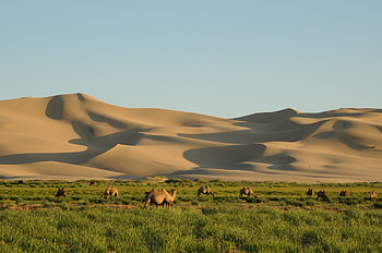 Gurvansaikhan National Park, Gobi Desert HD wallpaper