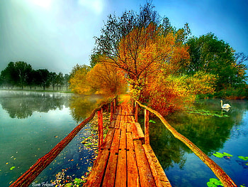 Beautiful morning, morning, beautiful, lake, reflection, mirrored, bridge, clouds, trees, nature, sky, water, pond HD wallpaper