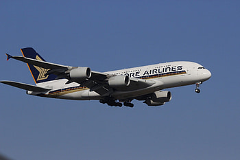 Singapore Airlines, Airline, Travel HD wallpaper