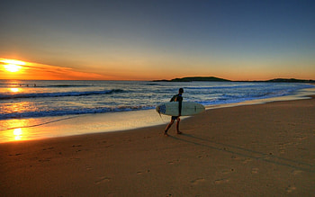 Morning Surfing, surfing, ocean, sunrise, beach HD wallpaper