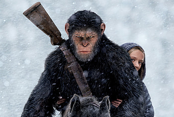 War For The Planet Of The Apes 2017, war-for-the-planet-of-the-apes, 2017-movies, movies HD wallpaper