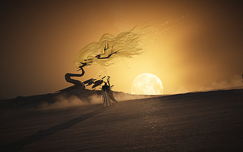 Where Winds Meet: Desert Echoes — U Game, Video Game, Gaming Environment HD wallpaper