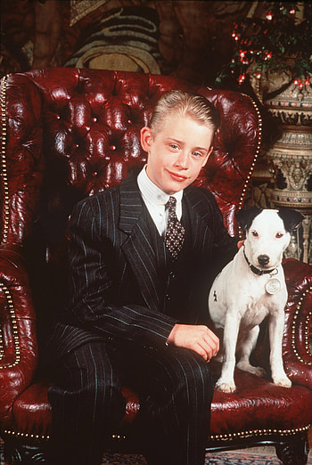 Macaulay Culkin, , Fanpop, American Actor HD phone wallpaper