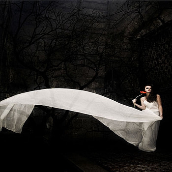 WHITE WIND, wind, white, dress, forest, woman HD wallpaper