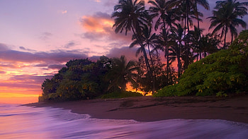 Kauai sunset, Vibrant colors, Tranquil atmosphere, Paradise found HD wallpaper