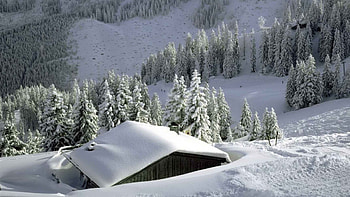 snowed in cabin in the mountains, winter, snow, trees, cabin, mountain HD wallpaper
