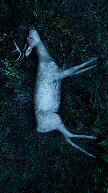 Ozark (2022) movie HD phone wallpaper