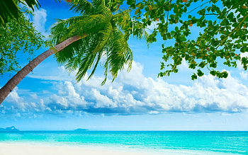 Moving Backgrounds Beach HD wallpaper