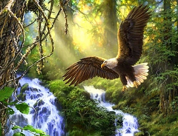 Rogue River , creek, eagle, attractions in dreams, forests, paintings, waterfalls, summer, parks, love four seasons, nature, rivers HD wallpaper