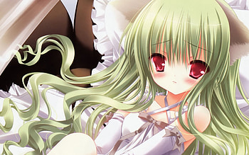 Sweet anime neko, Sweet, cat ears, anime, cute, blush, girl HD wallpaper