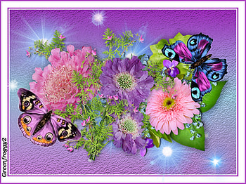 BUTTERFLIES AND FLOWERS, ART, FLOWERS, BUTTERFLIES, ABSTRACT HD wallpaper
