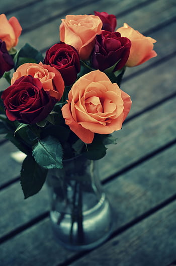 A stunning bouquet of red and orange roses in a glass vase on a wooden table, perfect for backgrounds. HD phone wallpaper