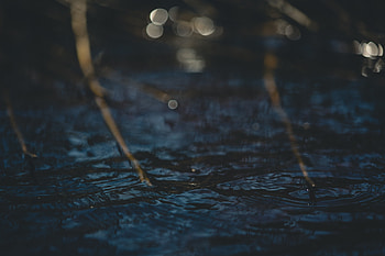 Nature, Water, Glare, Circles, Branches HD wallpaper