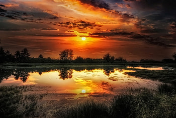 Reflection Lit, lit, awesome, plants, waterscape, reflections, sunrise, nice, amazing, water, islands, creeks, sun, mirror, sunsets, lakes, landscapes, cool, clouds, nature, sky, rivers HD wallpaper