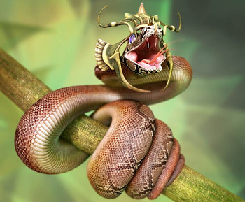danger, snake HD wallpaper