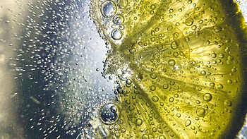 Lemon Slice Water Bubbles graphy graphy HD wallpaper