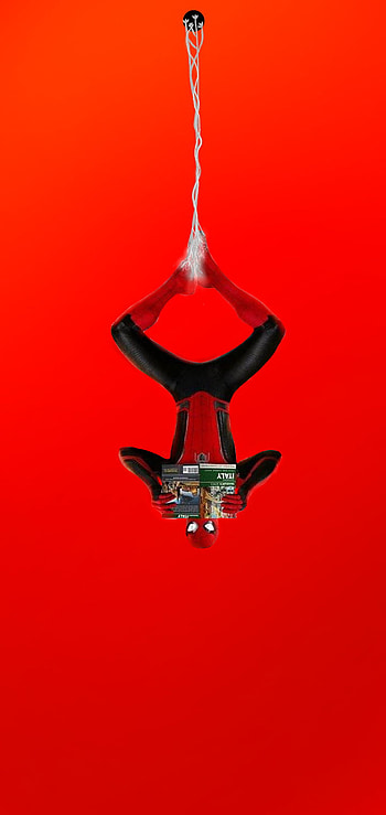 Spider man in web, homem, webshing, homemaranha, pendurado, spider-man, spiderman, teia HD phone wallpaper