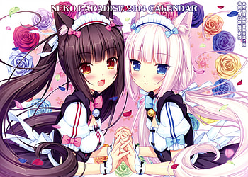 Nekopara, Chocola (Nekopara), Vanilla (Nekopara), Anime HD wallpaper
