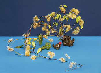Modern ikebana trend, Artistic floral sculptures, Nature's tribute, Contemporary flower art HD wallpaper