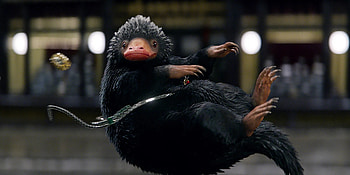 Niffler, Enchanting podcast, Fantastic Beasts discovery, Extraordinary creatures HD wallpaper