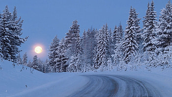 moon in winter, winter, trees, road, moon HD wallpaper