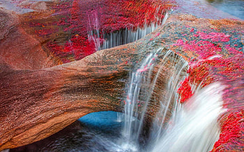 Cano Cristales, colors, river, nature, columbia HD wallpaper
