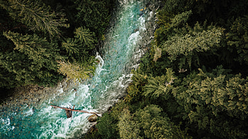 Nature, Water, Rivers, Trees, View From Above, Forest HD wallpaper